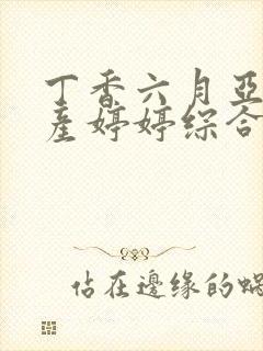 丁香六月亚洲国产婷婷综合网