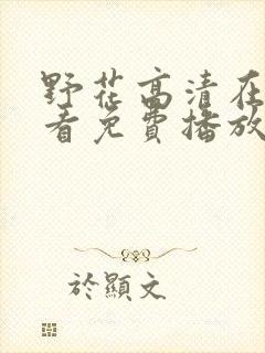 野花高清在线观看免费播放6