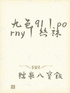 九色91丨porny丨丝袜