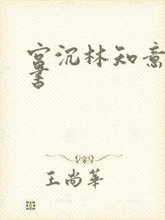 宫沉林知意电子书