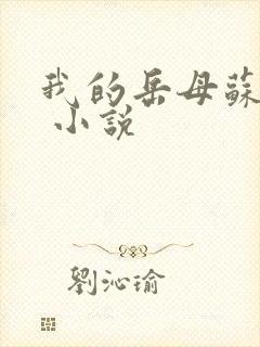 我的岳母苏沛真 小说