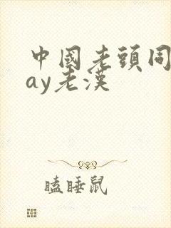 中国老头同性gay老汉封面