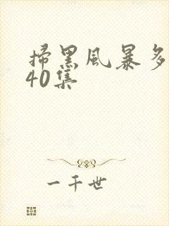 扫黑风暴多少集40集