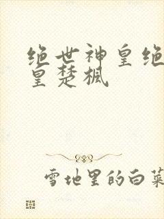 绝世神皇绝世神皇楚枫