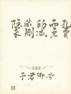 隐藏的面孔韩剧未删减免费在线观看封面