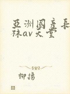 亚洲国产长腿丝袜av天堂