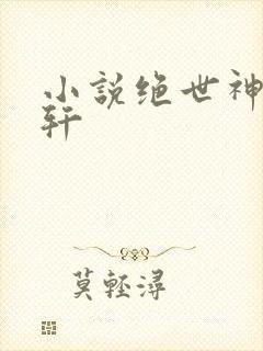 小说绝世神皇秦轩