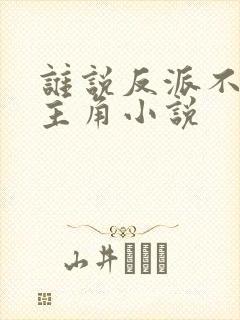 谁说反派不能当主角小说封面