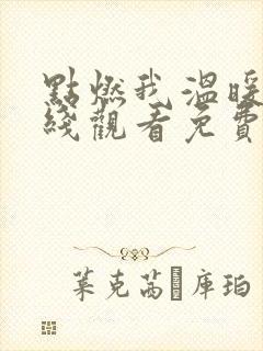 点燃我温暖你在线观看免费视频