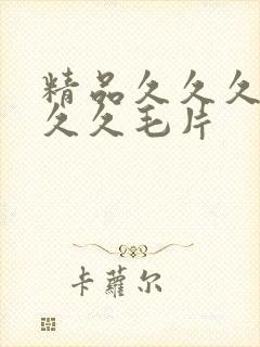 精品久久久久久久久毛片