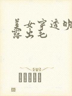 美女穿透明内裤露出毛