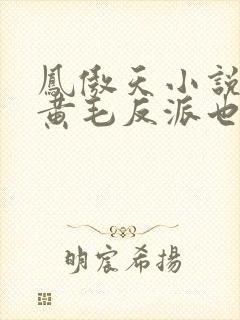 凤傲天小说里的黄毛反派也想幸福结局