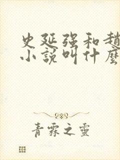 史延强和赵露思小说叫什么名字封面