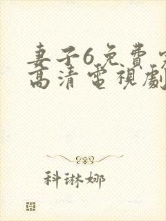 妻子6免费完整高清电视剧看