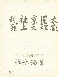 我被京圈太子爷宠上天短剧在线观看