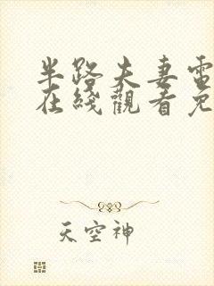 半路夫妻电视剧在线观看免费高清