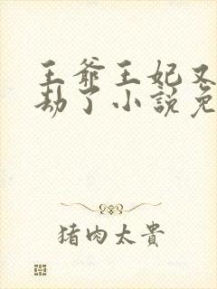 王爷王妃又去打劫了小说免费