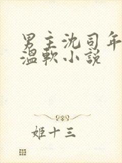 男主沈司年女主温软小说