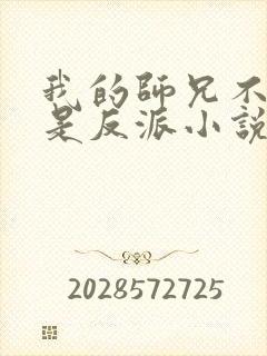 我的师兄不可能是反派小说