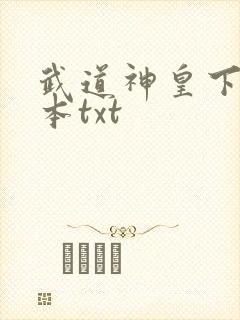 武道神皇下载全本txt