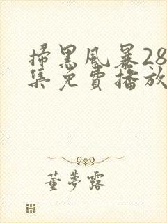 扫黑风暴28全集免费播放封面