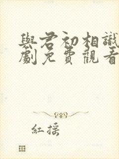 与君初相识电视剧免费观看完整版在线封面