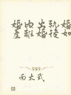 婚内出轨婚前财产离婚后如何分配封面