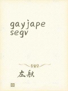 gayjapesegv