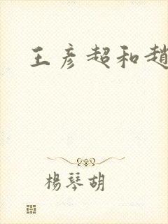 王彦超和赵匡胤