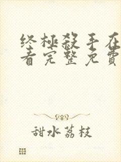 终极杀手在线观看完整免费高清电影