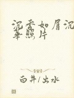 沉香如屑沉香重华照片