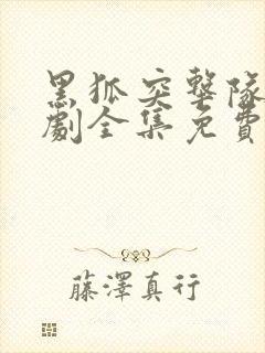 黑狐突击队电视剧全集免费观看封面