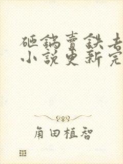 砸锅卖铁去上学小说更新完了吗