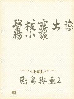 学校露出惩罚灌肠小说