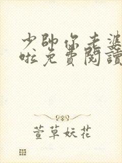 少帅你老婆又跑啦免费阅读