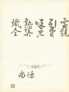 炽热吸引电视剧全集免费观看13集