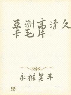 亚洲高清久久不卡毛片