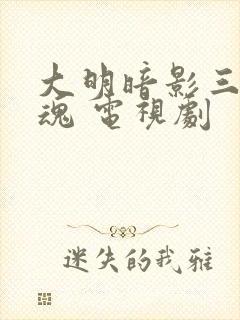 大明暗影三百忠魂 电视剧