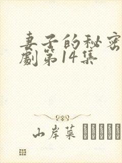 妻子的秘密4韩剧第14集