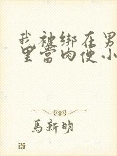 我被绑在男公厕里当肉便小说