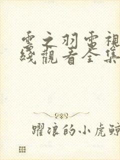云之羽电视剧在线观看全集免费封面
