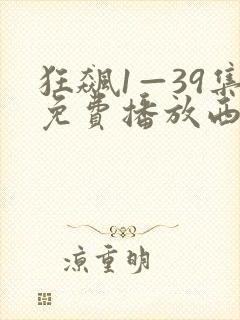 狂飙1—39集免费播放西瓜影院