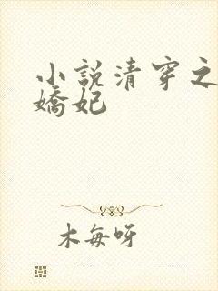 小说清穿之太子娇妃封面