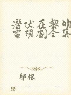 潜伏在黎明之前电视剧全集40集免费观看