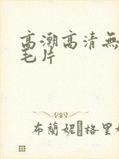高潮高清无遮挡毛片