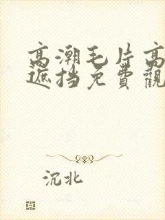 高潮毛片高清无遮挡免费观看