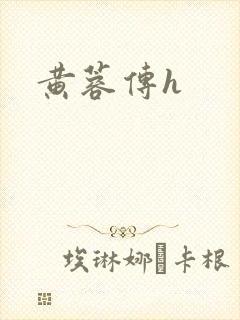 黄蓉传h