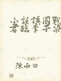 小说镇国战神叶君临李子染封面