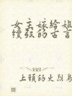 女主嫁给姐夫当续弦的古言封面