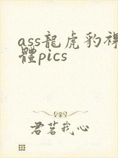 ass龙虎豹裸体pics封面